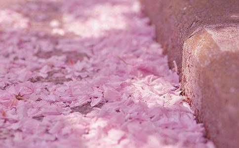 �ѻ�����600��10ƪ