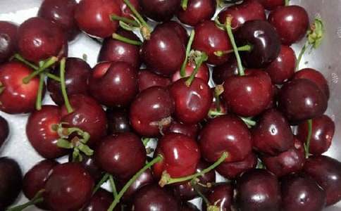 描寫櫻桃樹的作文