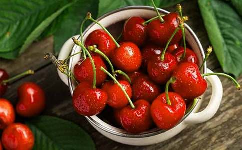 描寫春天櫻桃花的作文