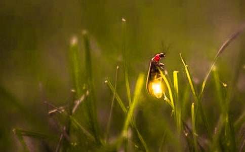 �茑(xi��)Ξ���x(ch��ng)�����ģ����x37ƪ��