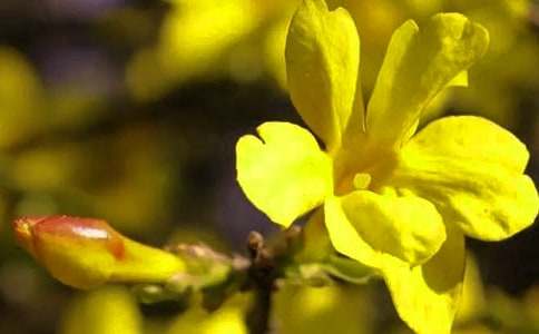 ������ӭ����С�W(xu��)���ģ�ͨ��49ƪ��