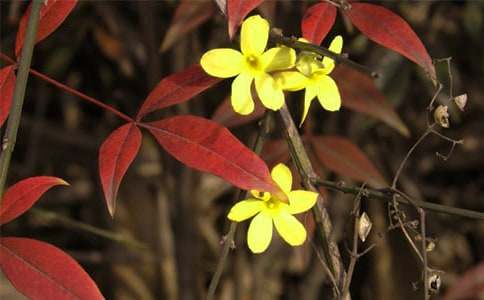 �����]��������ӭ��������