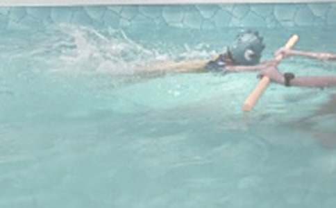 學游泳的樂趣作文500字