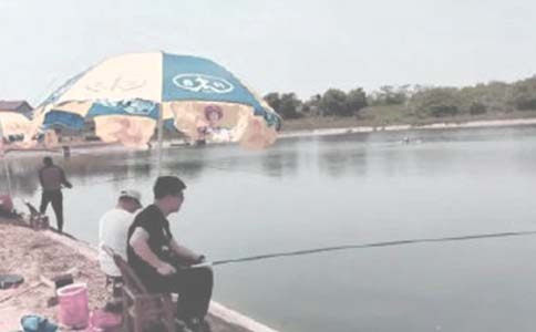 �������~����������