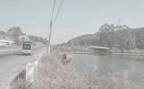 家鄉(xiāng)的魚塘作文2篇