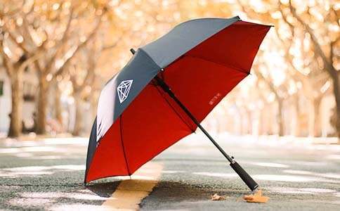 未來(lái)雨傘作文