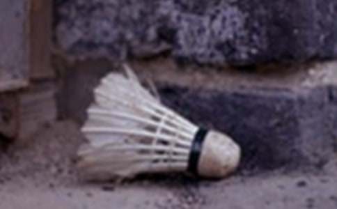 �W(xu��)����ë��Ĕ�������