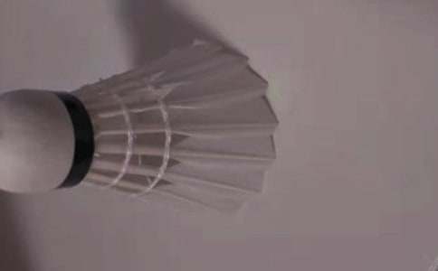 ��ë���dȤС�M�̌W(xu��)�������Y(ji��)