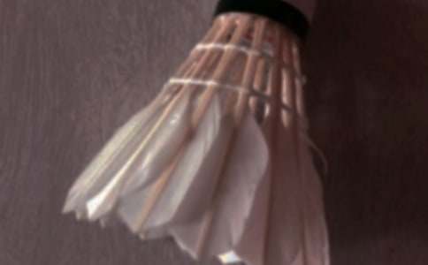 和媽媽打羽毛球作文(通用42篇)