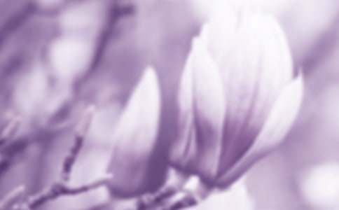 ���m��_���m������