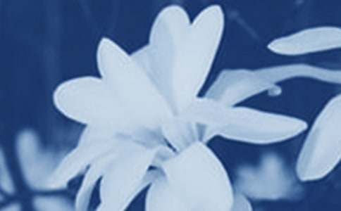 ���m���_