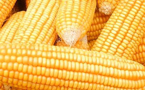 ������С�W(xu��)���ģ�ͨ��24ƪ��