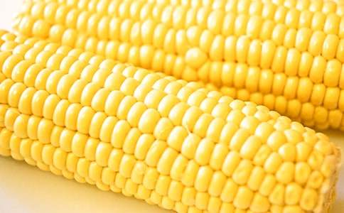 收玉米三年級(jí)優(yōu)秀作文(通用21篇)