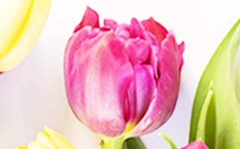 �茑������Č�������