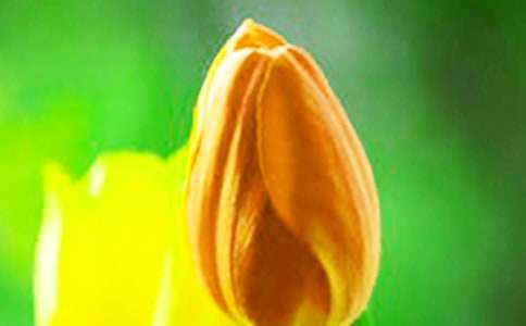 ����������������(���\15ƪ)