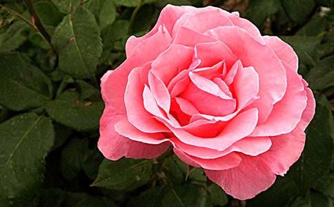 ���»��_(k��i)�¼��t����