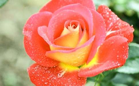 �¼������ġ�����