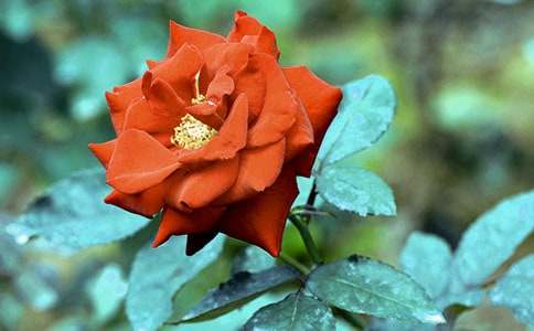 �����x���¼����^����ӛ4ƪ