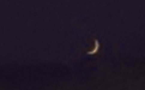 С�ࡶ�������̰������x8ƪ��