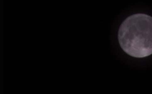 ��(y��u)��������ƪ���y�����A֮ҹ