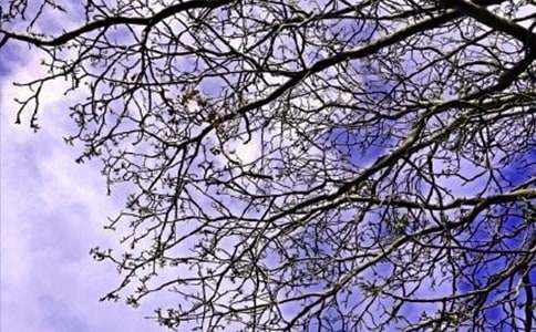 ��־�簲�Z�(ͨ��15ƪ)