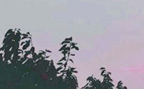 ���Ђ�(g��)���簲������ȫ125�侫�x