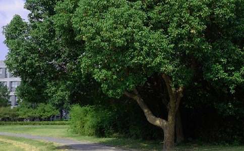 2022早安勵(lì)志心語