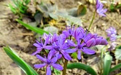 2020年有關(guān)早安共勉句子微信錦集54句