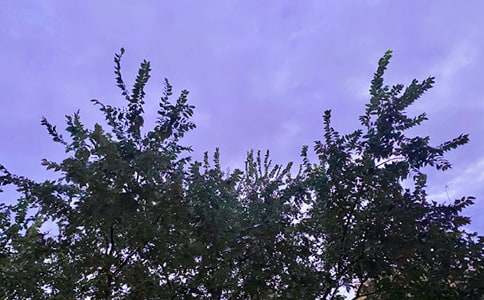 ���ε��簲��־���Z�40��