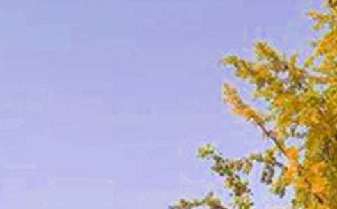 早安溫暖的美好寄語