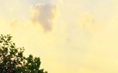 ���x�����簲���Z(y��)19��