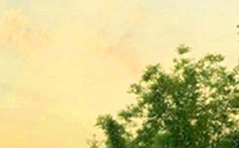 ��(j��ng)�䃞(y��u)�����簲���Z����Ȧ39�l