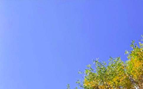 �峿���簲��(w��n)���Z(y��)