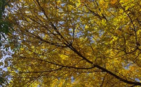 簡(jiǎn)單的勵(lì)志早安語(yǔ)錄32條