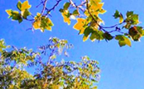 2025���(l��)־�簲�Z(y��)�280�l