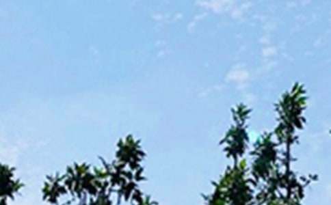 �������簲��־�Z䛡��]��