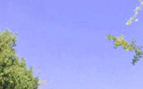 ��(ji��n)��Ψ���簲���Z(y��)��ͨ��40�䣩