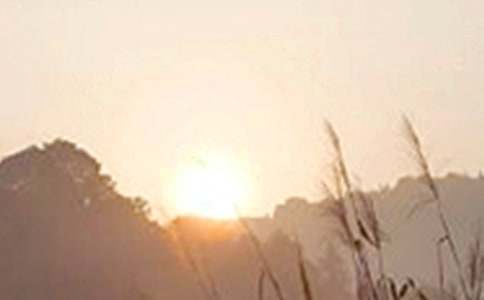 �簲��M��������(l��)־�Z�9ƪ