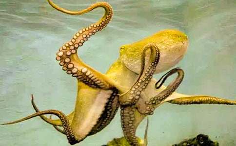 ��(xi��)��ӛ�����~(y��)����ͯԒ(hu��)����900��