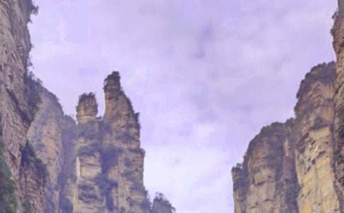 張家界旅游作文