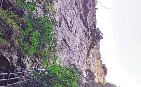 �Ώ��ҽ��������