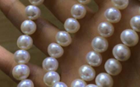 拾起心中我和父親的珍珠作文(通用28篇)