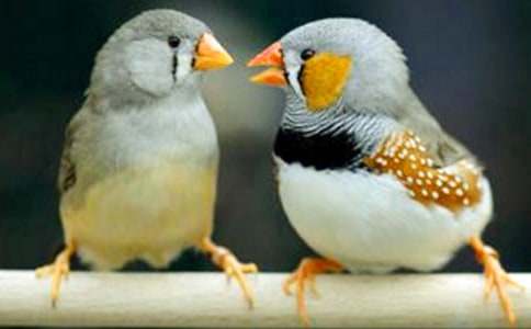 �������B���̰�