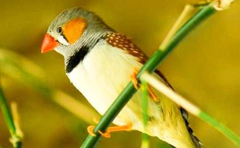 �n�������B�̌W�OӋ