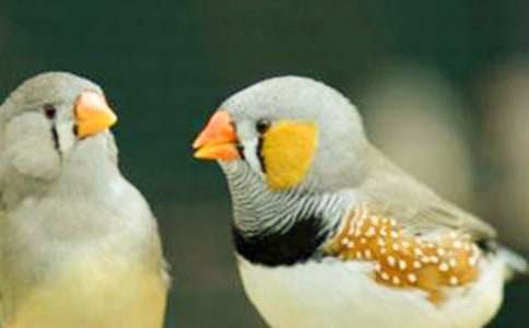 ���꼉(j��)�������B���ڶ��n�r(sh��)�̌W(xu��)�O(sh��)Ӌ(j��)