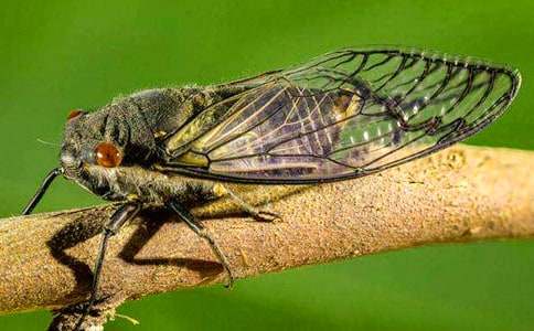 ֪������400����ƪ