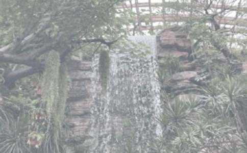 ������ֲ��@����