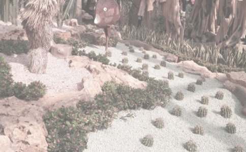 春游植物園三年級作文(通用20篇)