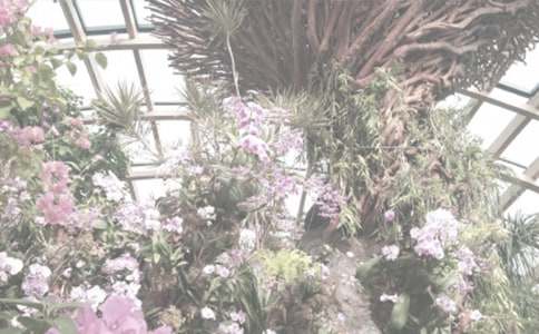 �����ĺ���ֲ��@����