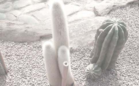 ����ֲ��@С�W(xu��)����